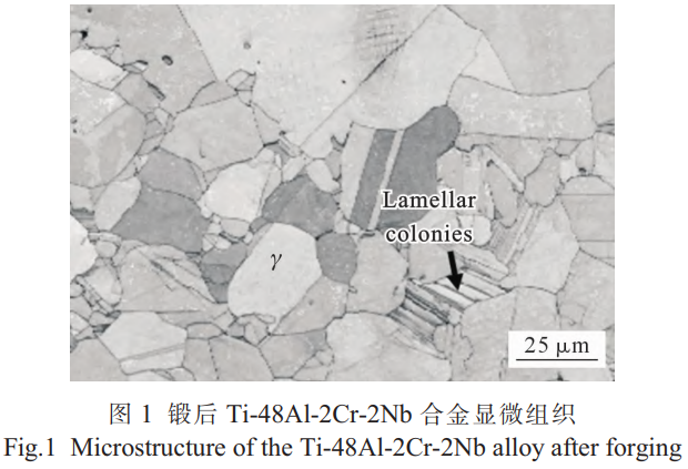 1766305241998199.png 截圖20251221161925.png