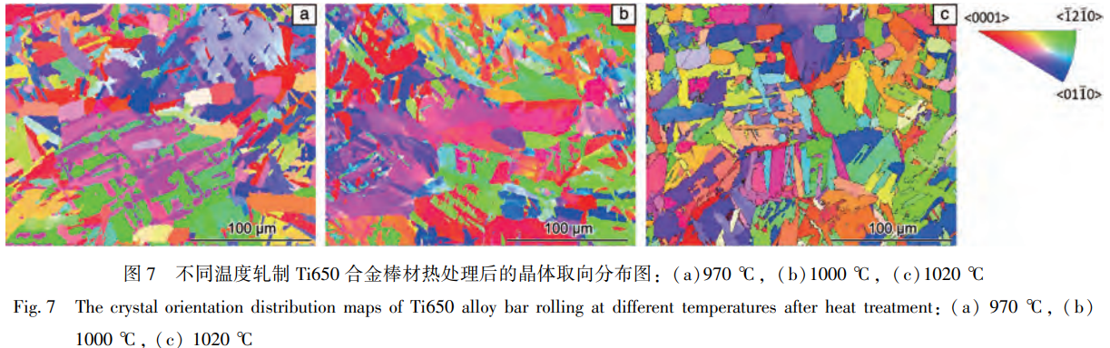 1768791548509501.png 7.png