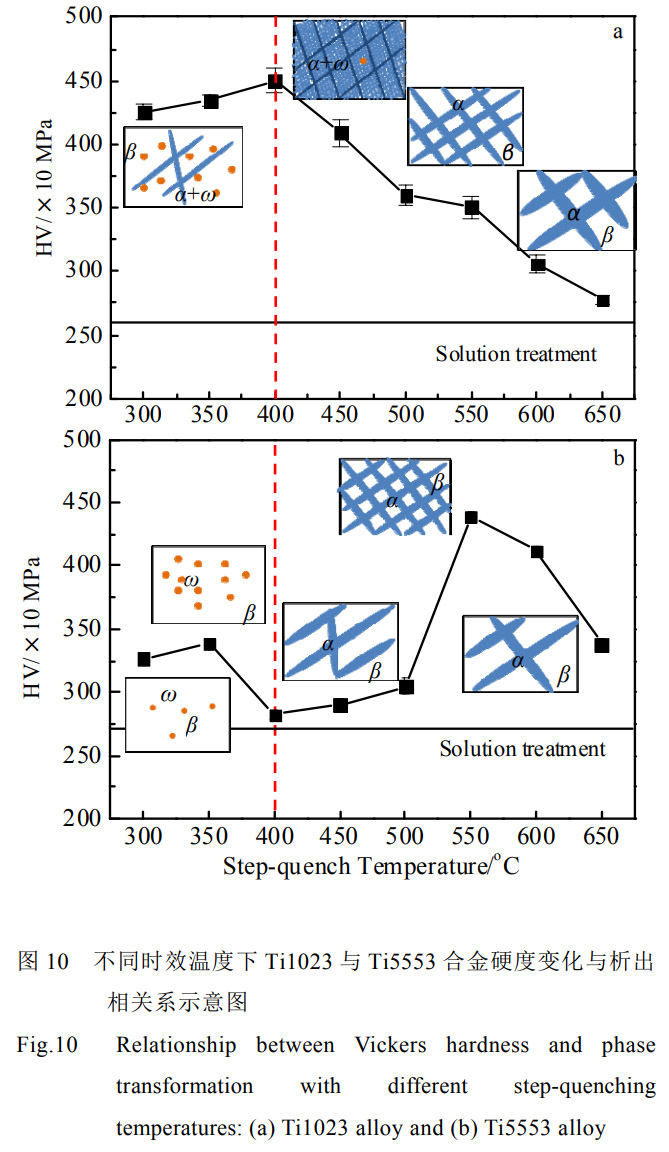 1768822610618220.jpg 10.jpg