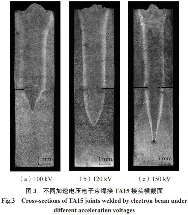 1768825524822953.png 3.png